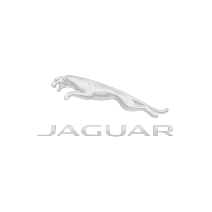 JAGUAR1.png